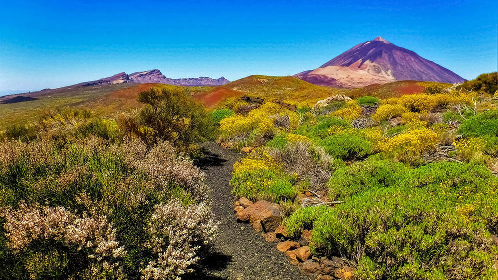 Fotogalería múltiple 02.11.22