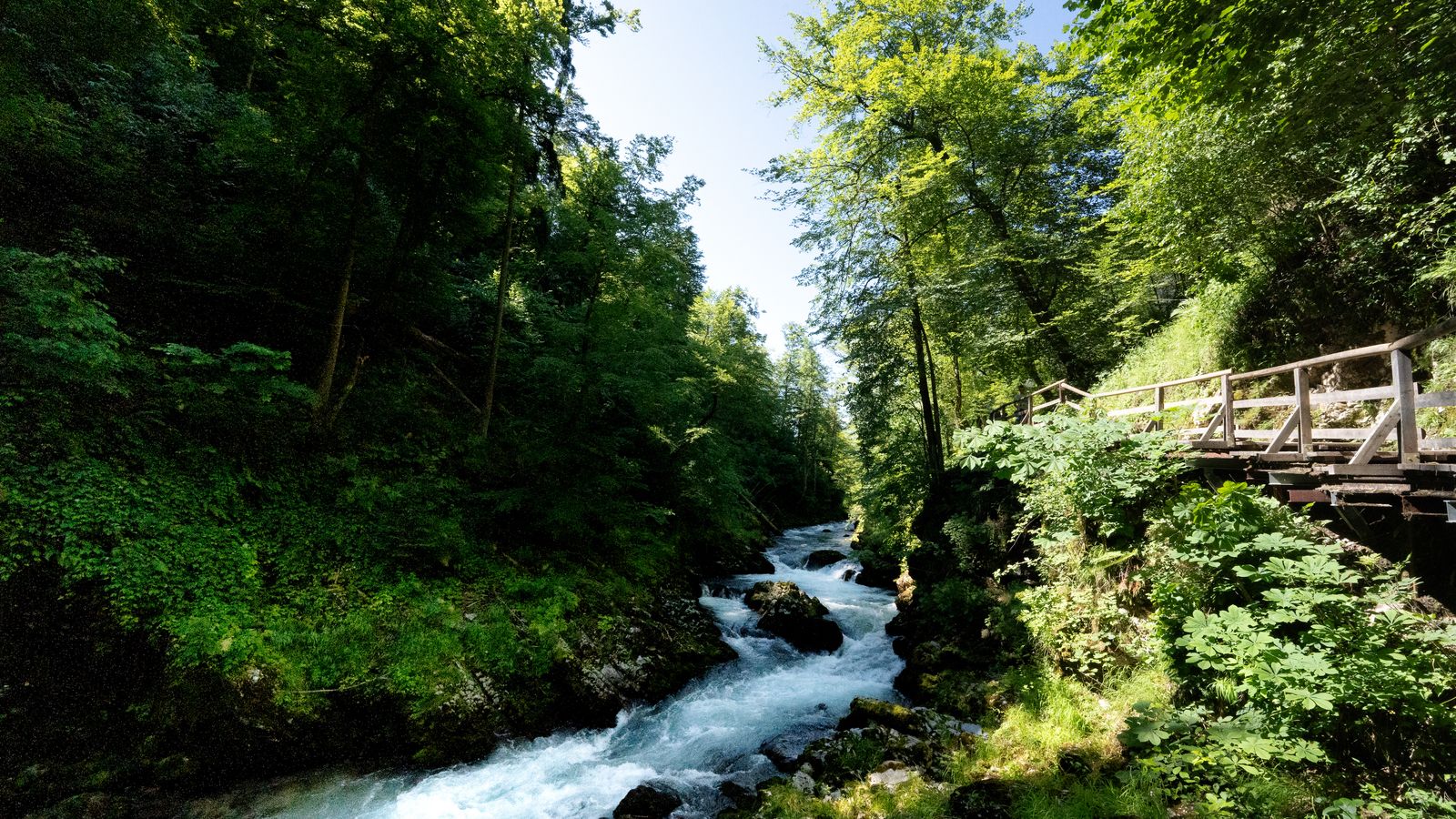 Imagen grande test punto focal Imagen grande test punto focal