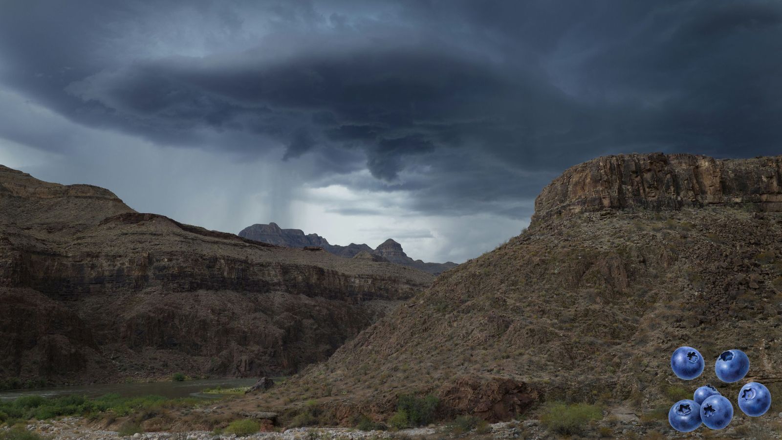 steve-gribble-ZDw4bMLSUXA-unsplash