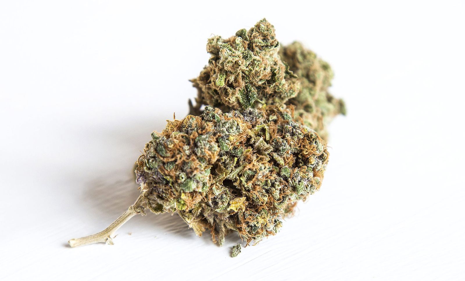 Galería con 100 imágenes desde Zip Galería con 100 imágenes desde Zip