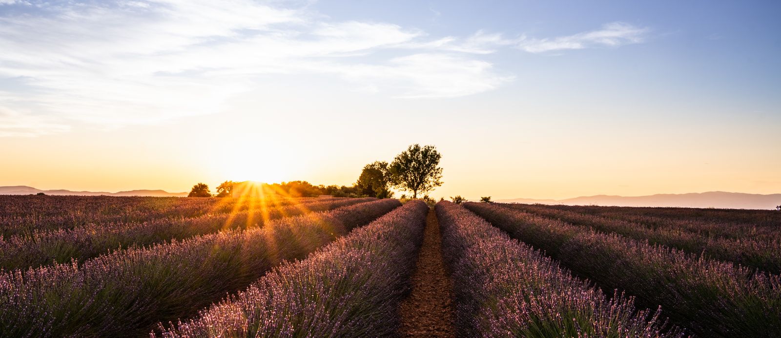 Las imágenes del día: 16 de agosto de 2022 Las imágenes del día: 16 de agosto de 2022