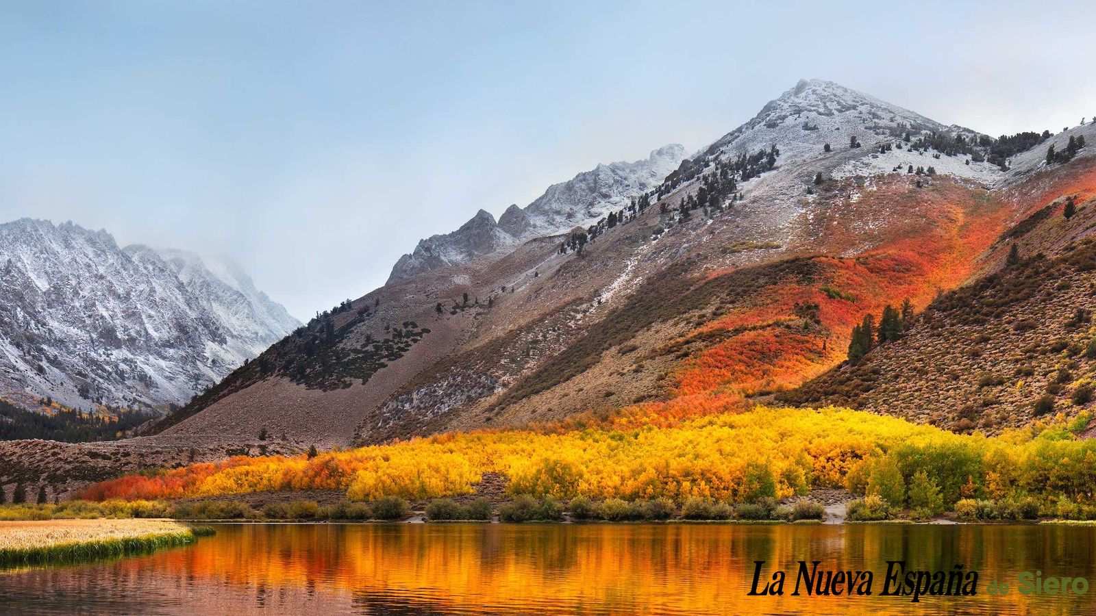 Subida múltiple fotos marca agua logo 0