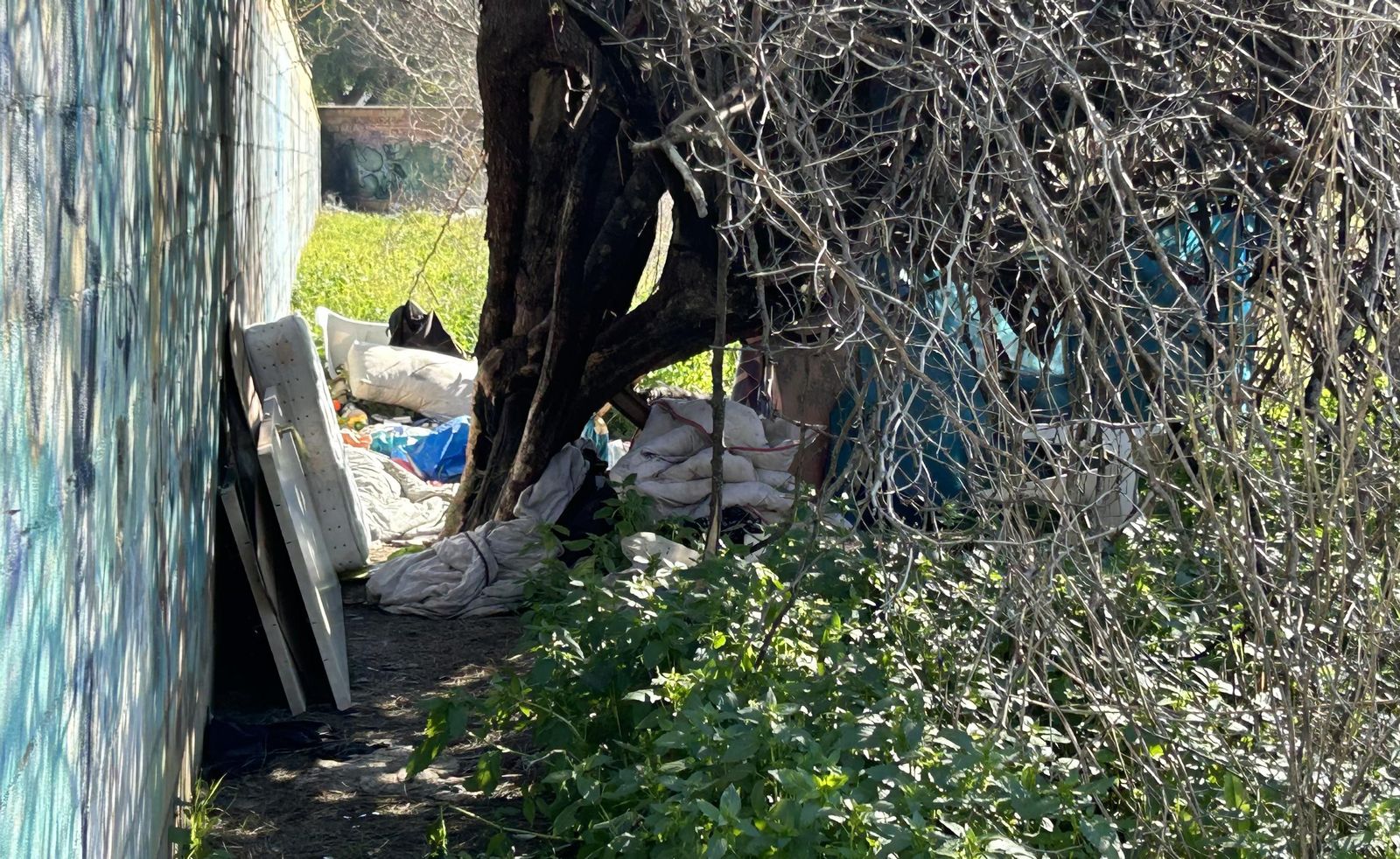 Mas de 100 algunas incorrectas/solar-tamarguillo-57f6d5d Mas de 100 algunas incorrectas/solar-tamarguillo-57f6d5d