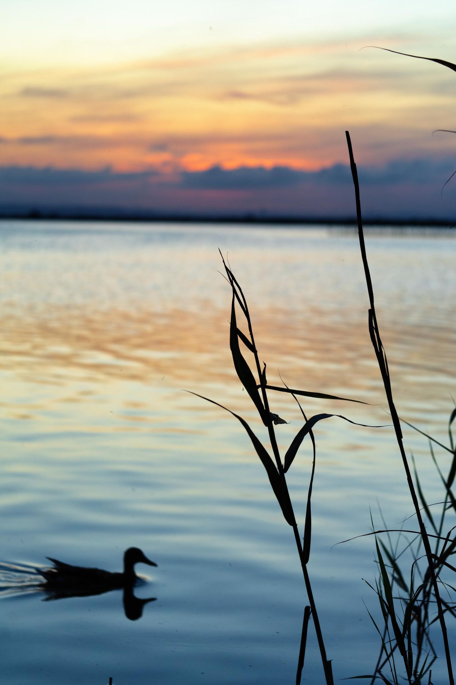 Fotogalería test subida múltiple más de 100