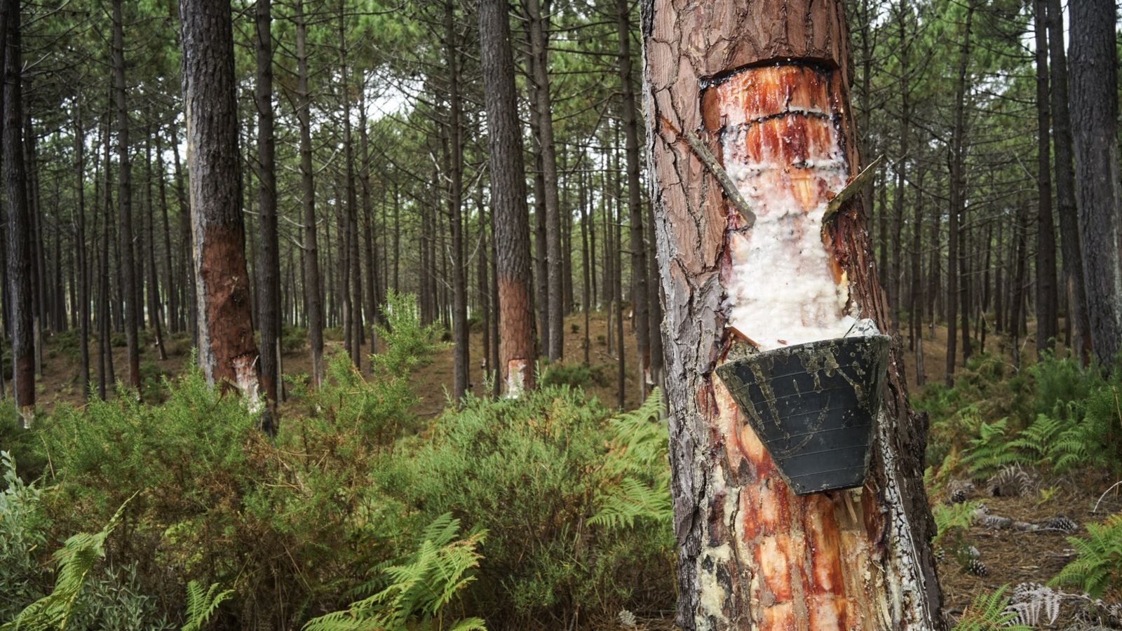 horizontal-1616.jpg horizontal-1616.jpg