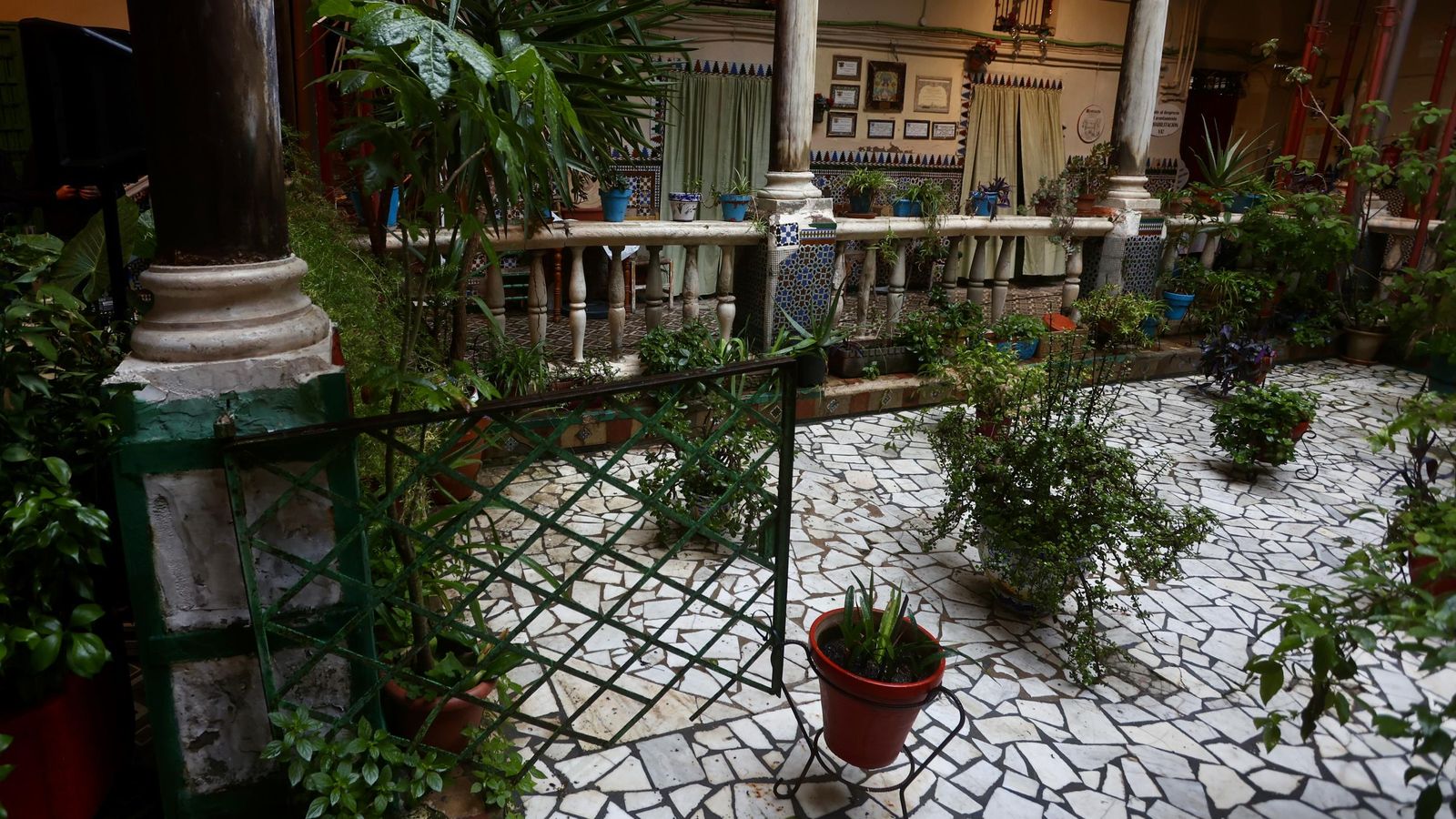 image00007.jpeg image00007.jpeg