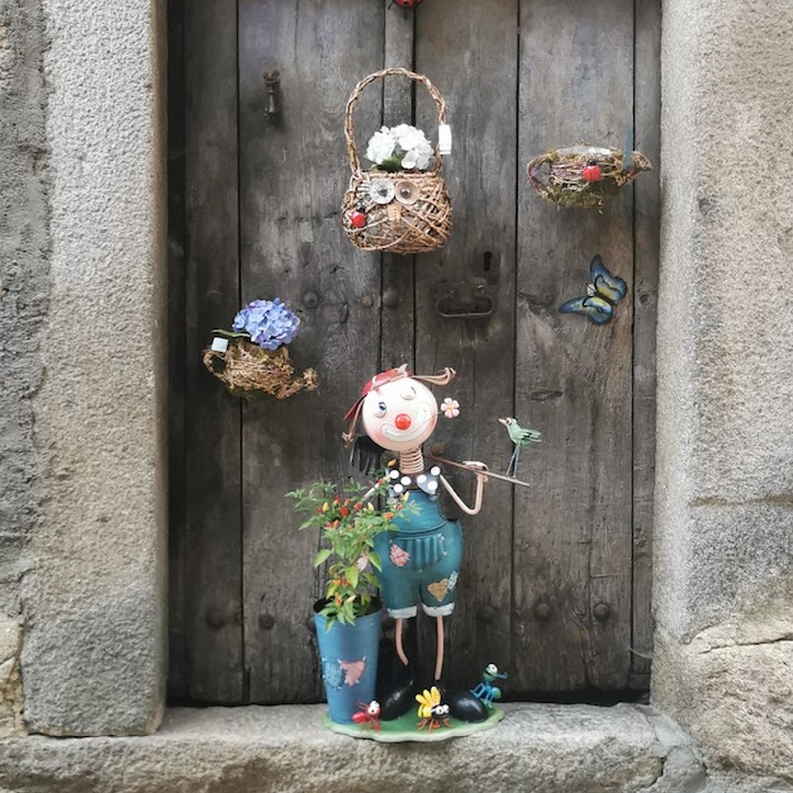 Imagen test punto focal Imagen test punto focal