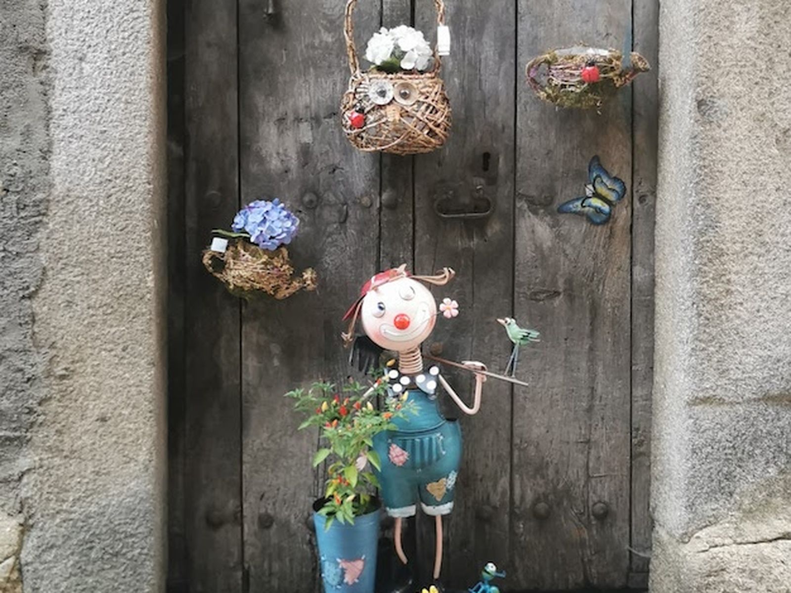 Imagen test punto focal Imagen test punto focal