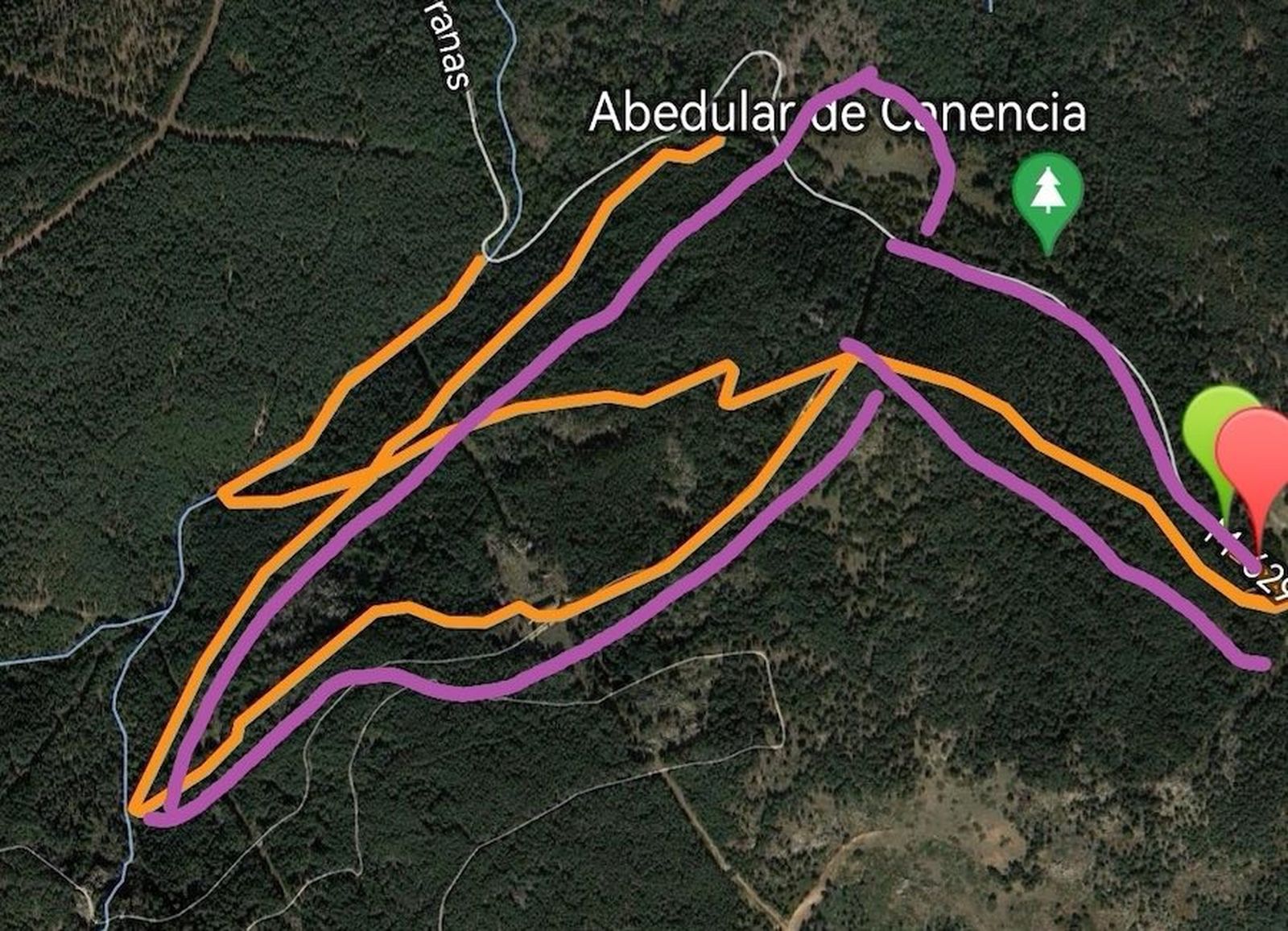 Las imágenes del día: 27 de octubre