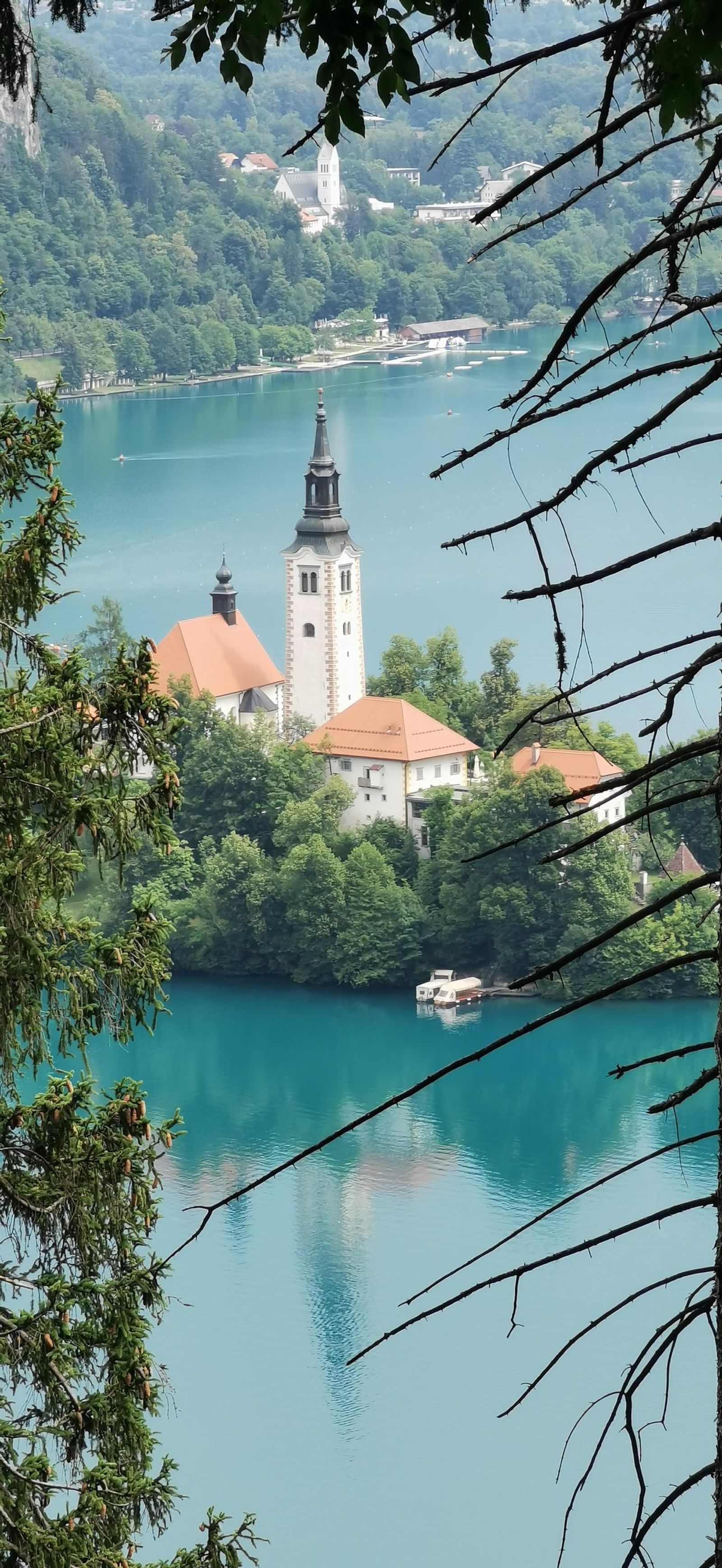 Galería test móvil Galería test móvil