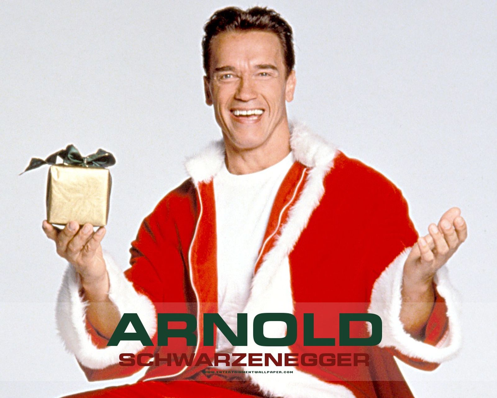 arnold_schwarzenegger02.jpg
