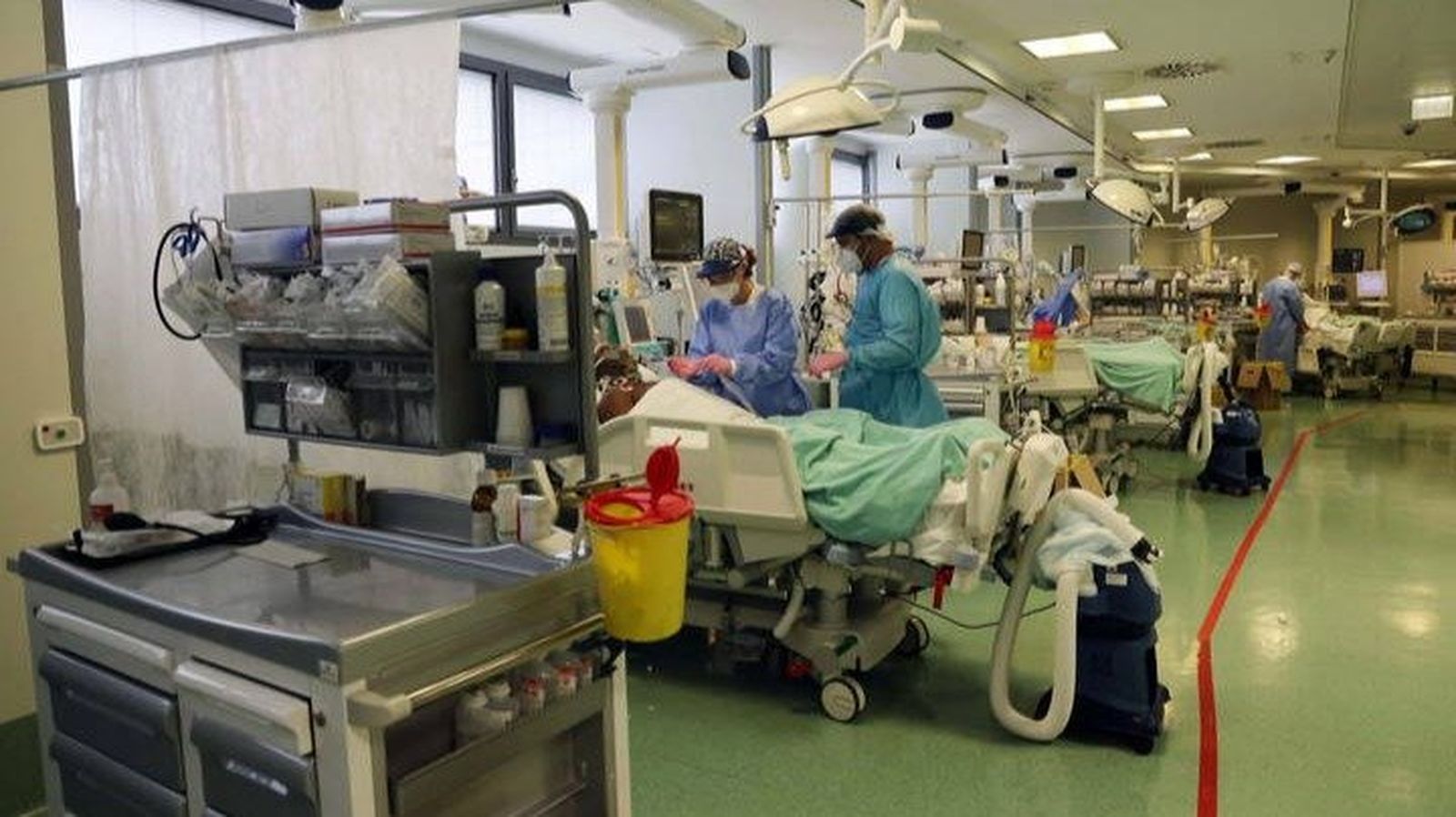 Fotogalería imágenes peso Fotogalería imágenes peso