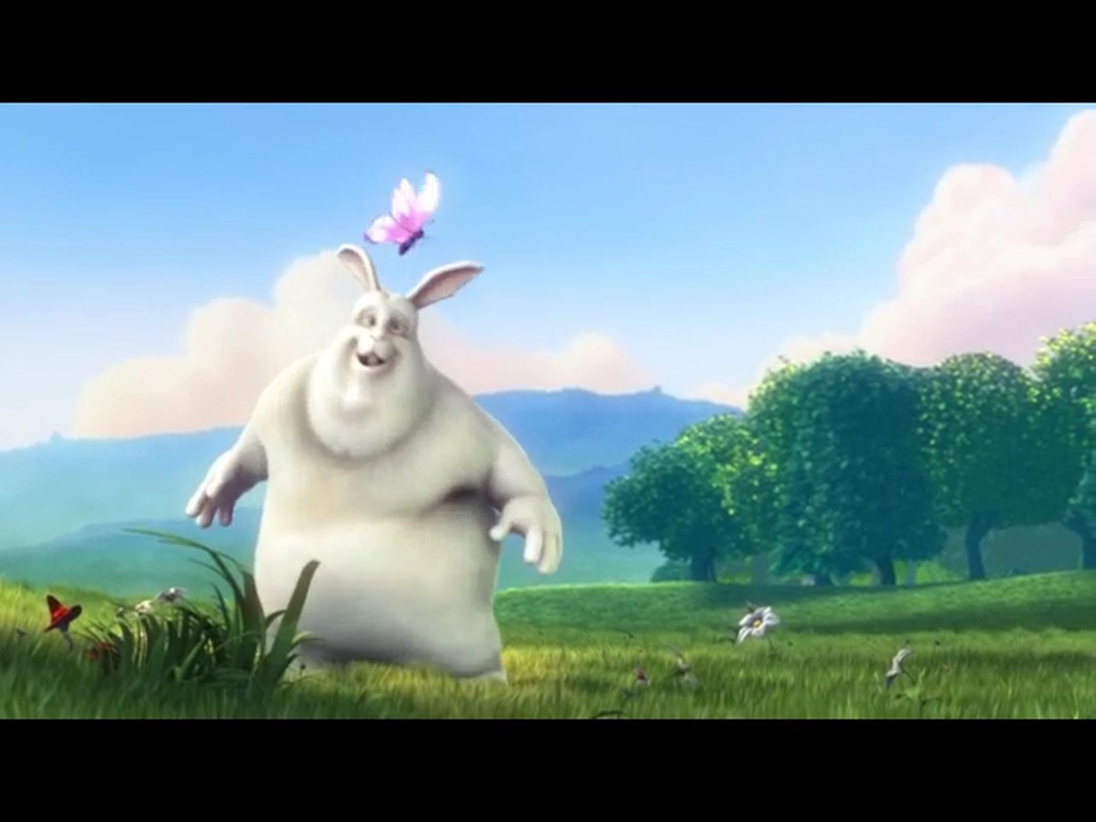 Vídeo prueba frame automático