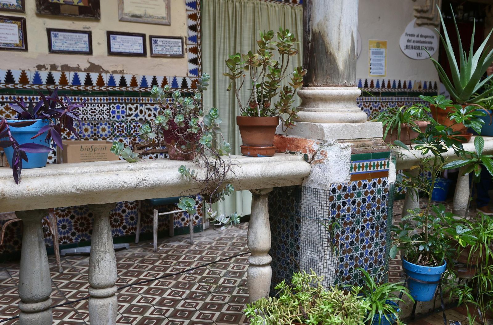 Fotogalería con más de 100 fotos Fotogalería con más de 100 fotos