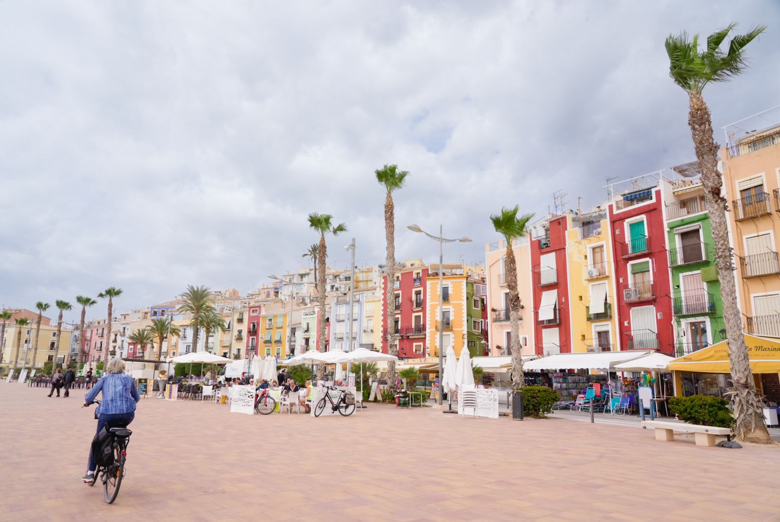 Galería móvil más de 100