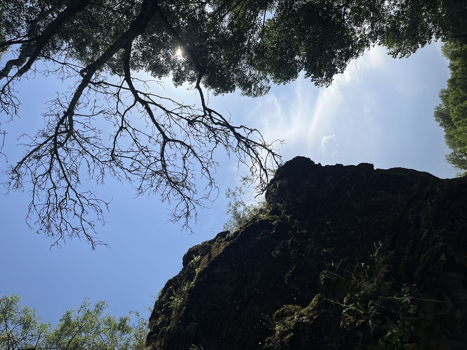 Galería desde iPhone con subida múltiple