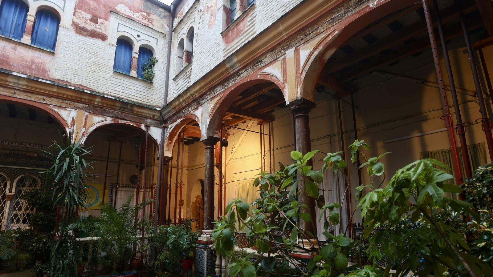 image00006.jpeg image00006.jpeg