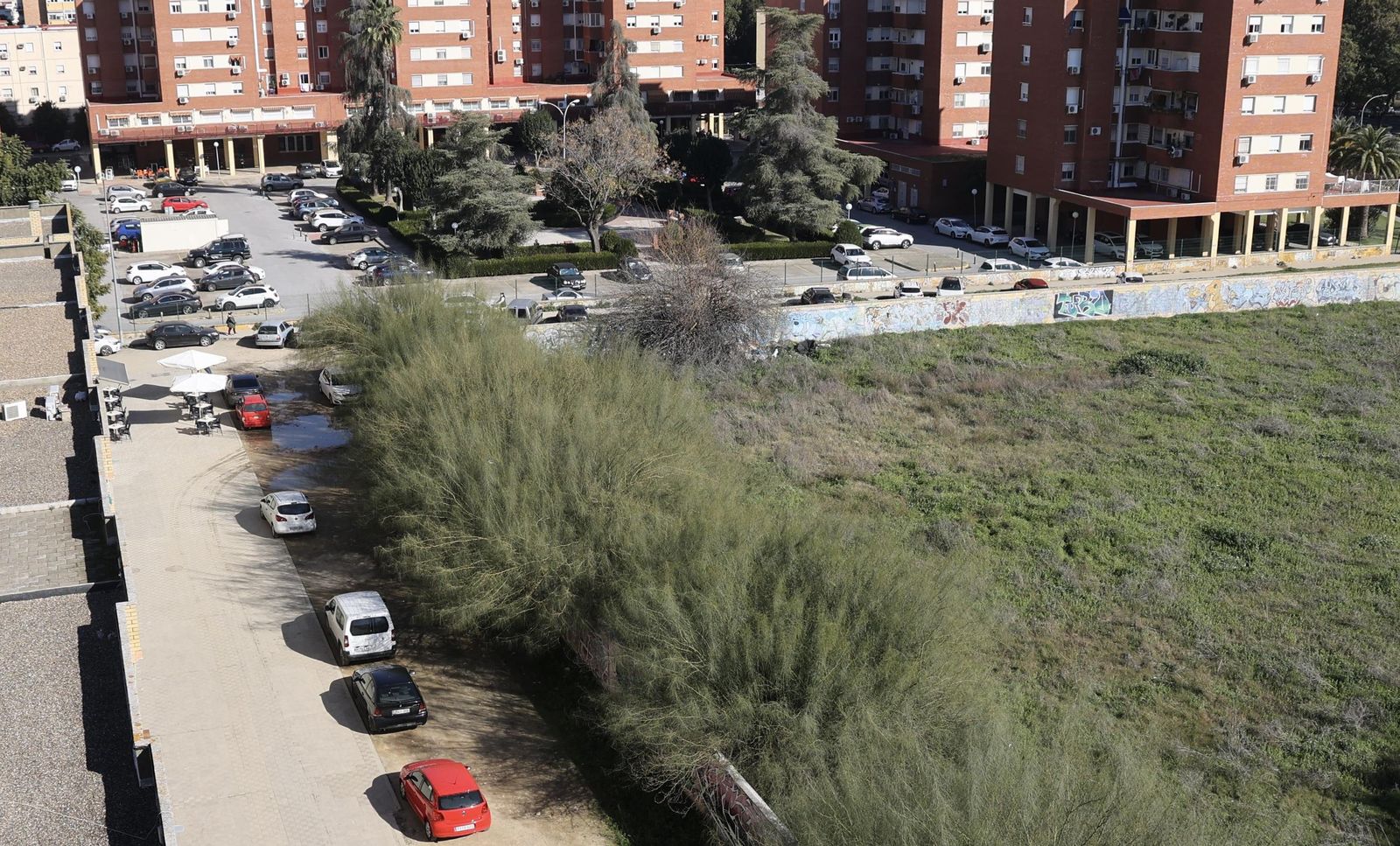 Fotogalería test subida múltiple más de 100