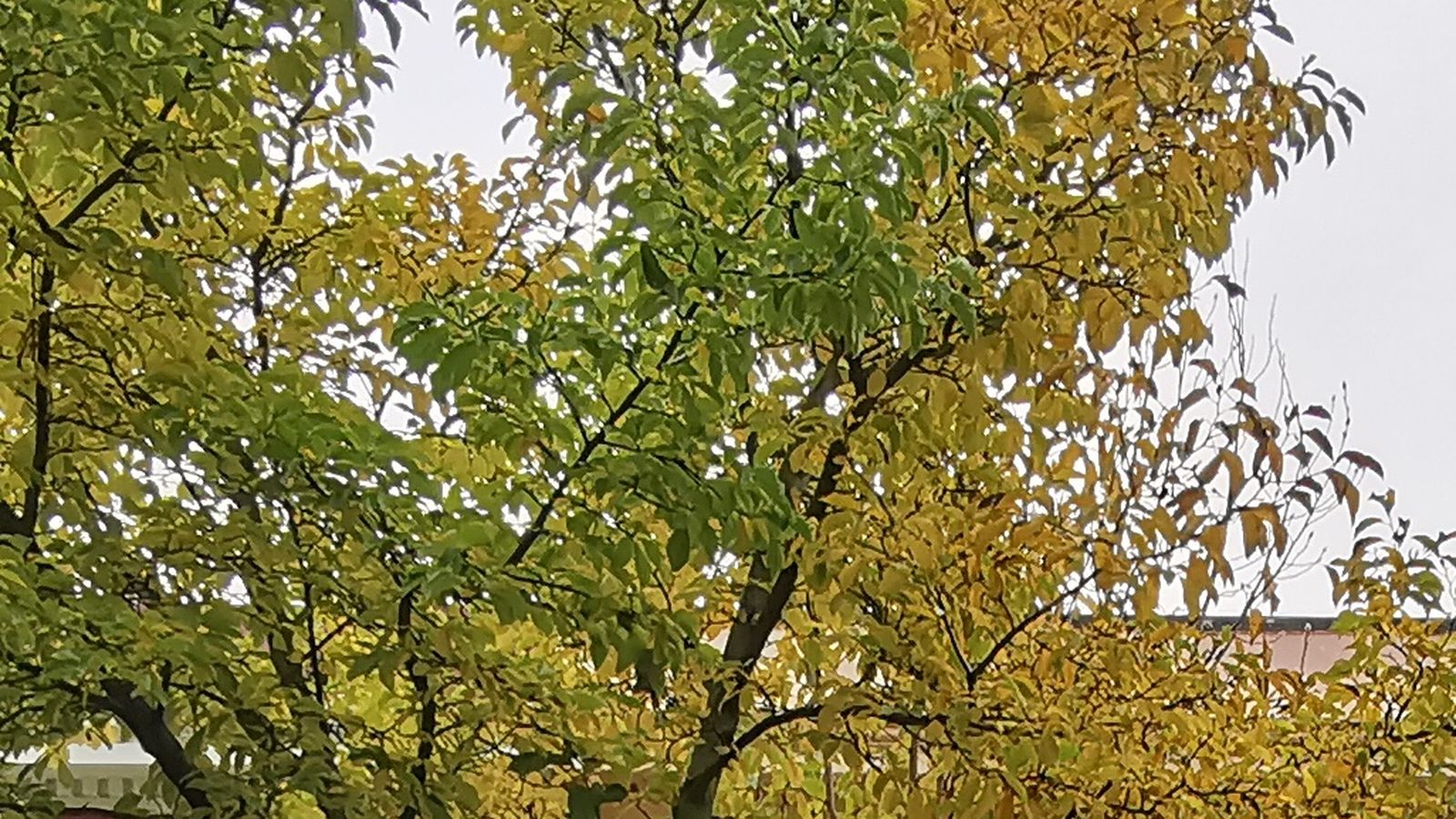 foto-9.16-5000mb-6mb.jpg foto-9.16-5000mb-6mb.jpg