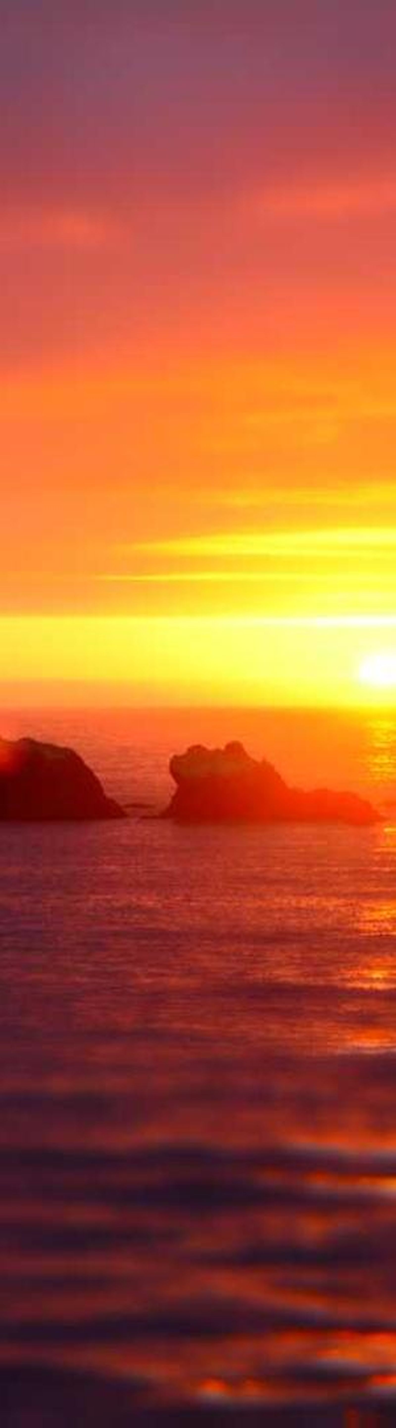 image - 48119f31 26da 4320 9e30 231c3ced48e3 image - 48119f31 26da 4320 9e30 231c3ced48e3