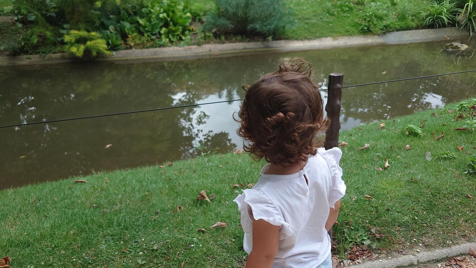 Fotos test rotación Fotos test rotación