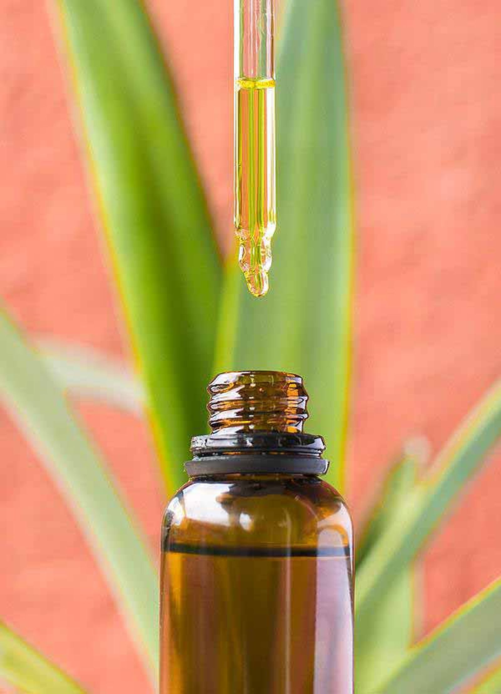 Galería con 100 imágenes desde Zip Galería con 100 imágenes desde Zip