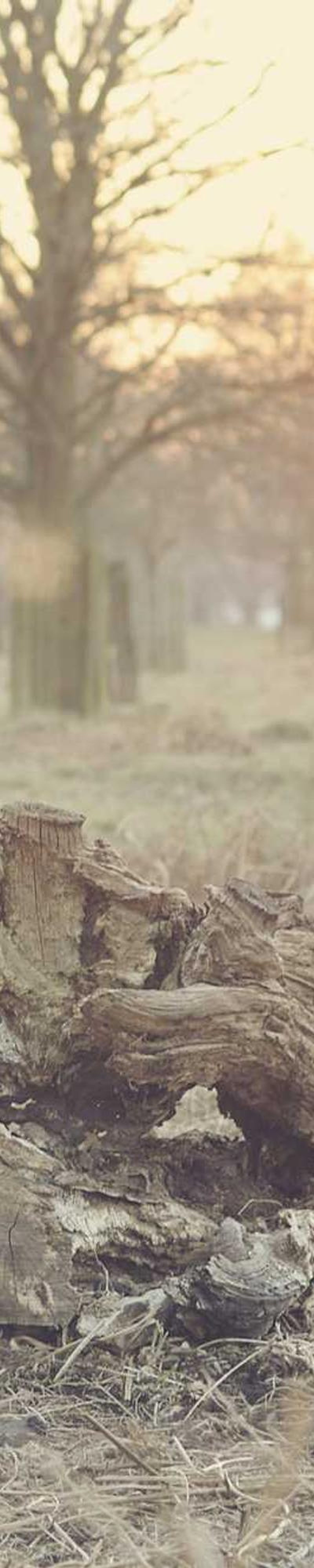 image - 5d9dab5b 35ff 46bf b1b9 2586a4b9465f