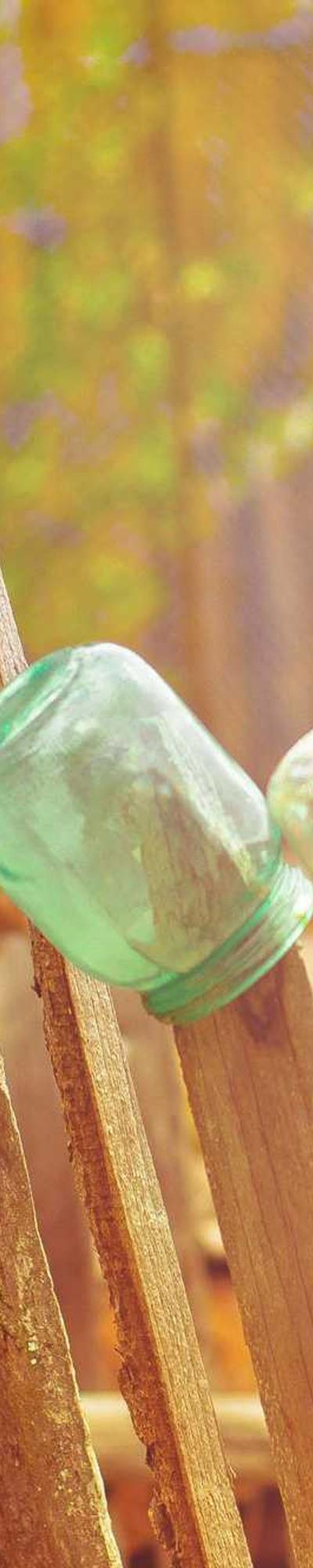 image - 5c5eafe7 d2d2 418f b94f 218ed94163fe image - 5c5eafe7 d2d2 418f b94f 218ed94163fe