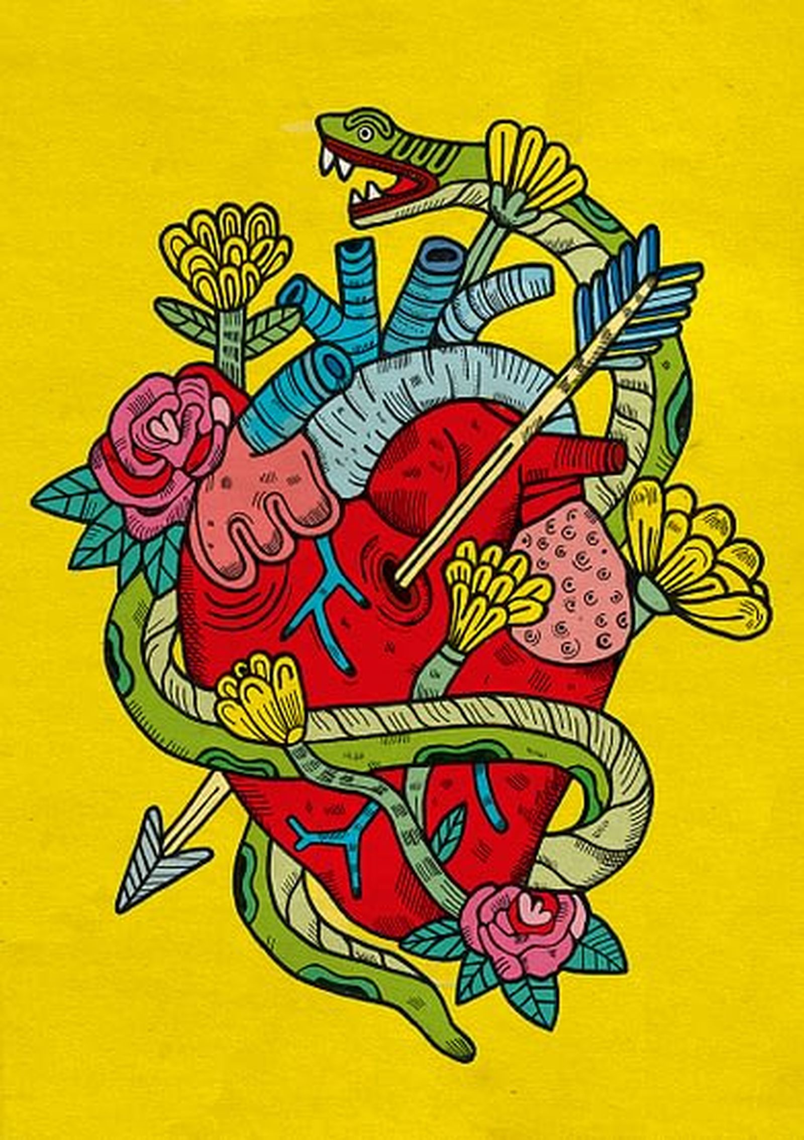 Imagen colección vertical jpg