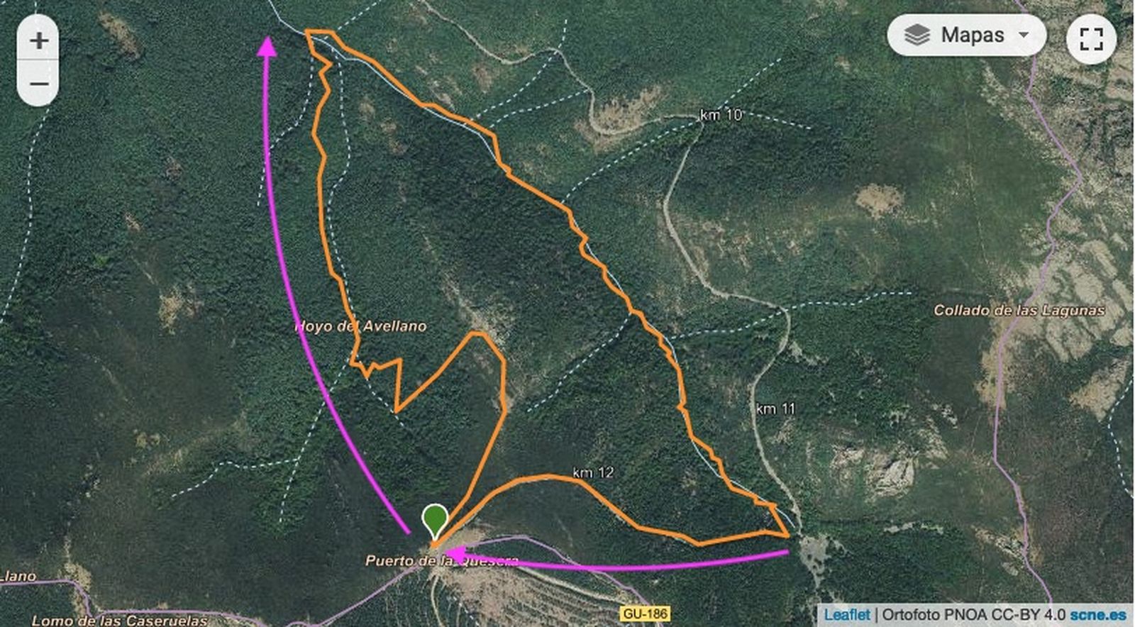 hayedo pedrosa wikiloc ruta