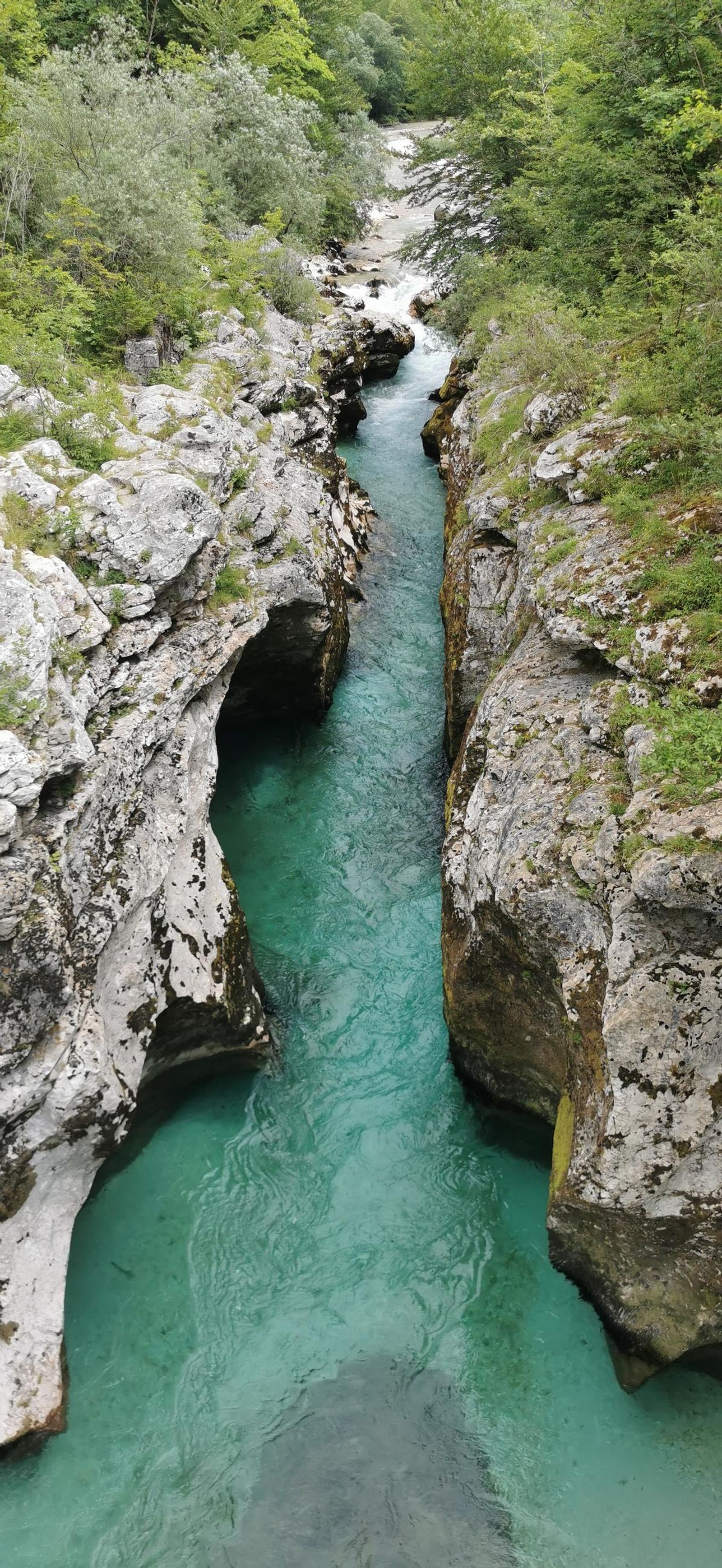 Fotogalería test móvil datos Fotogalería test móvil datos