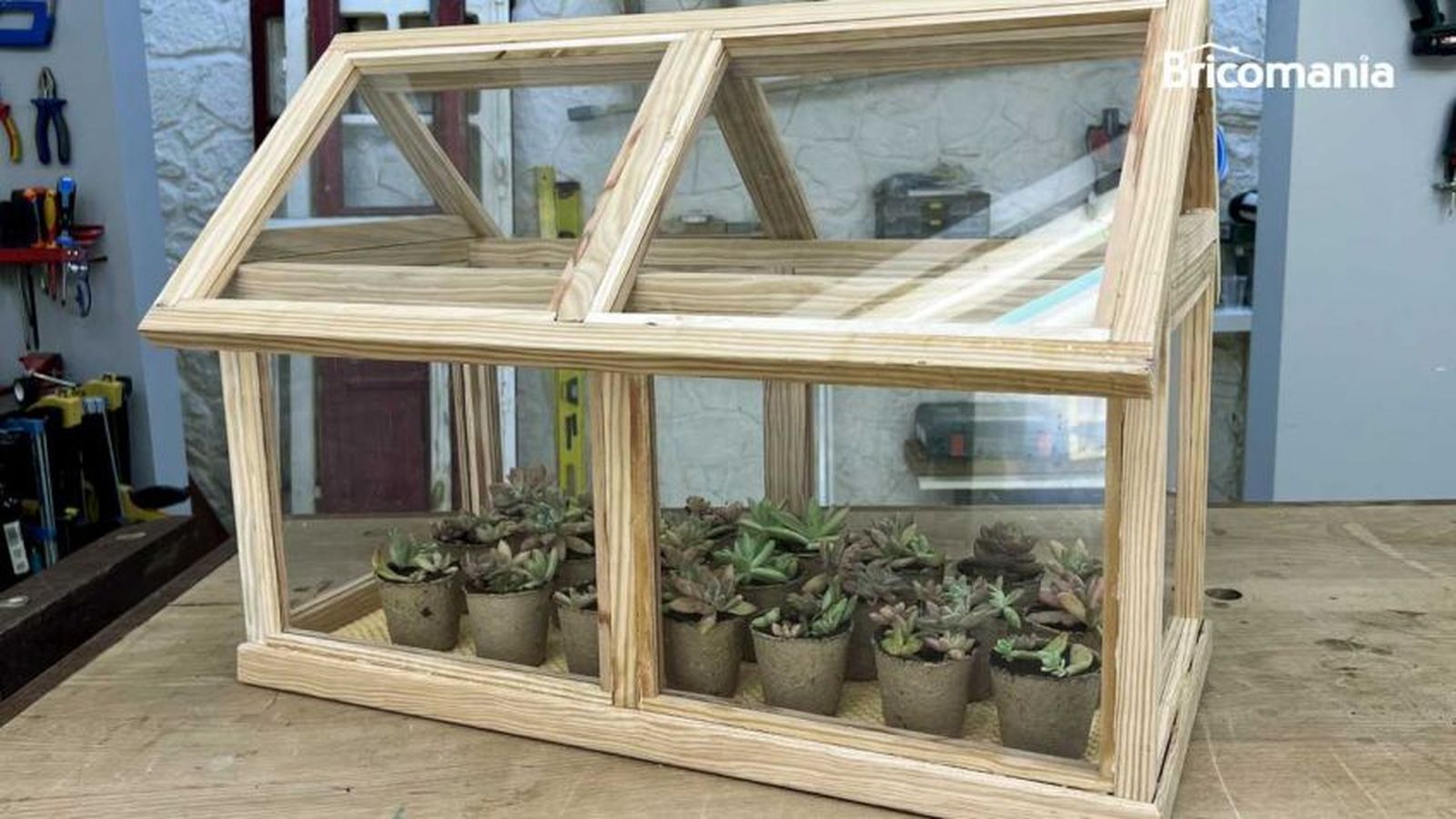 Hacer un mini invernadero casero paso a paso Hacer un mini invernadero casero paso a paso