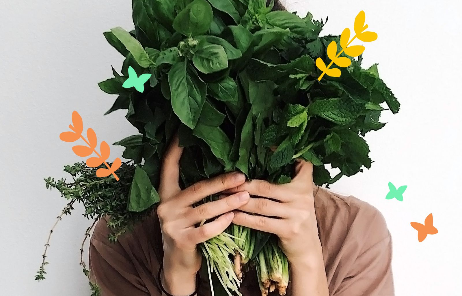 Galería con 100 imágenes desde Zip Galería con 100 imágenes desde Zip