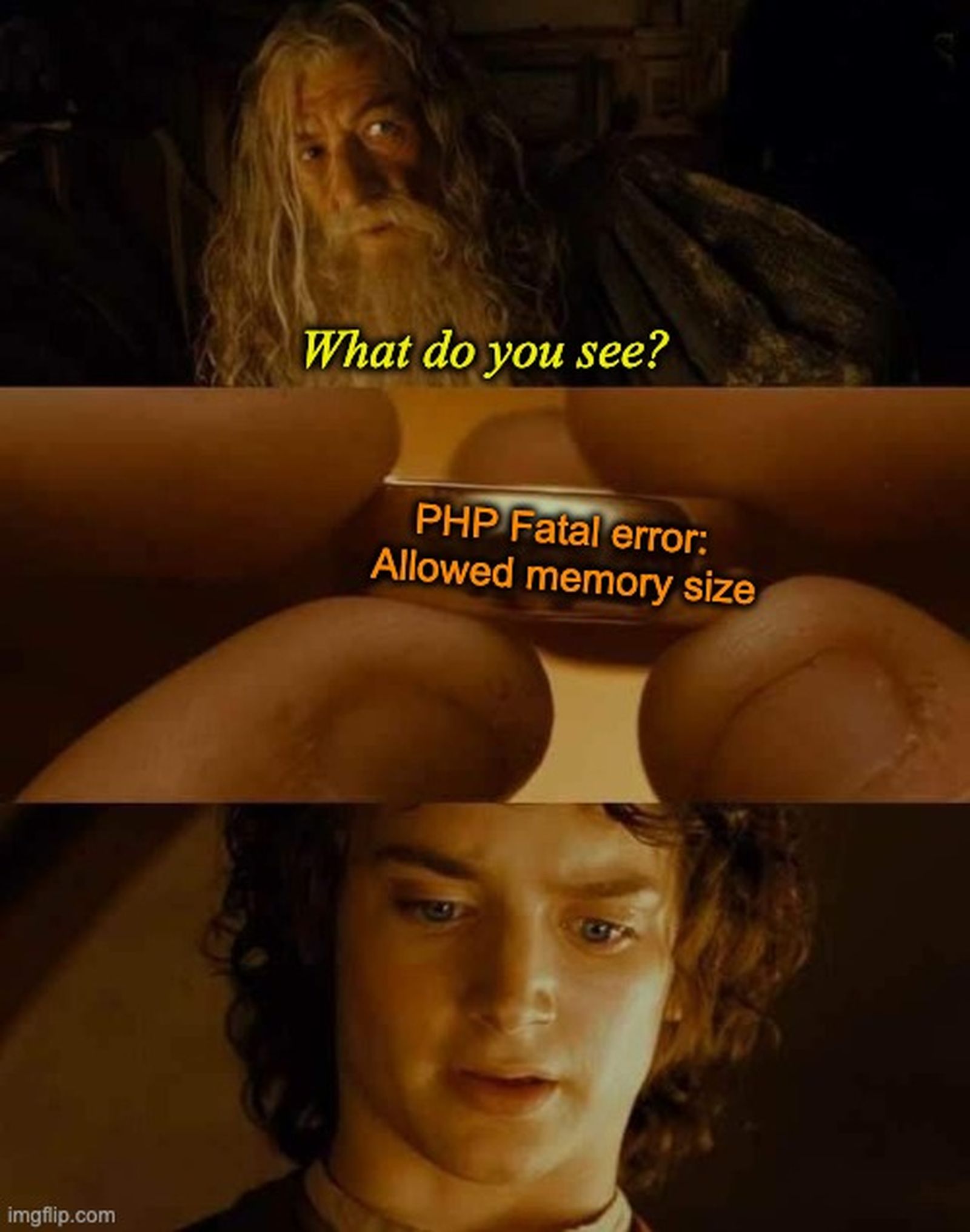 ¿Que es lo que ves? ¿Que es lo que ves?