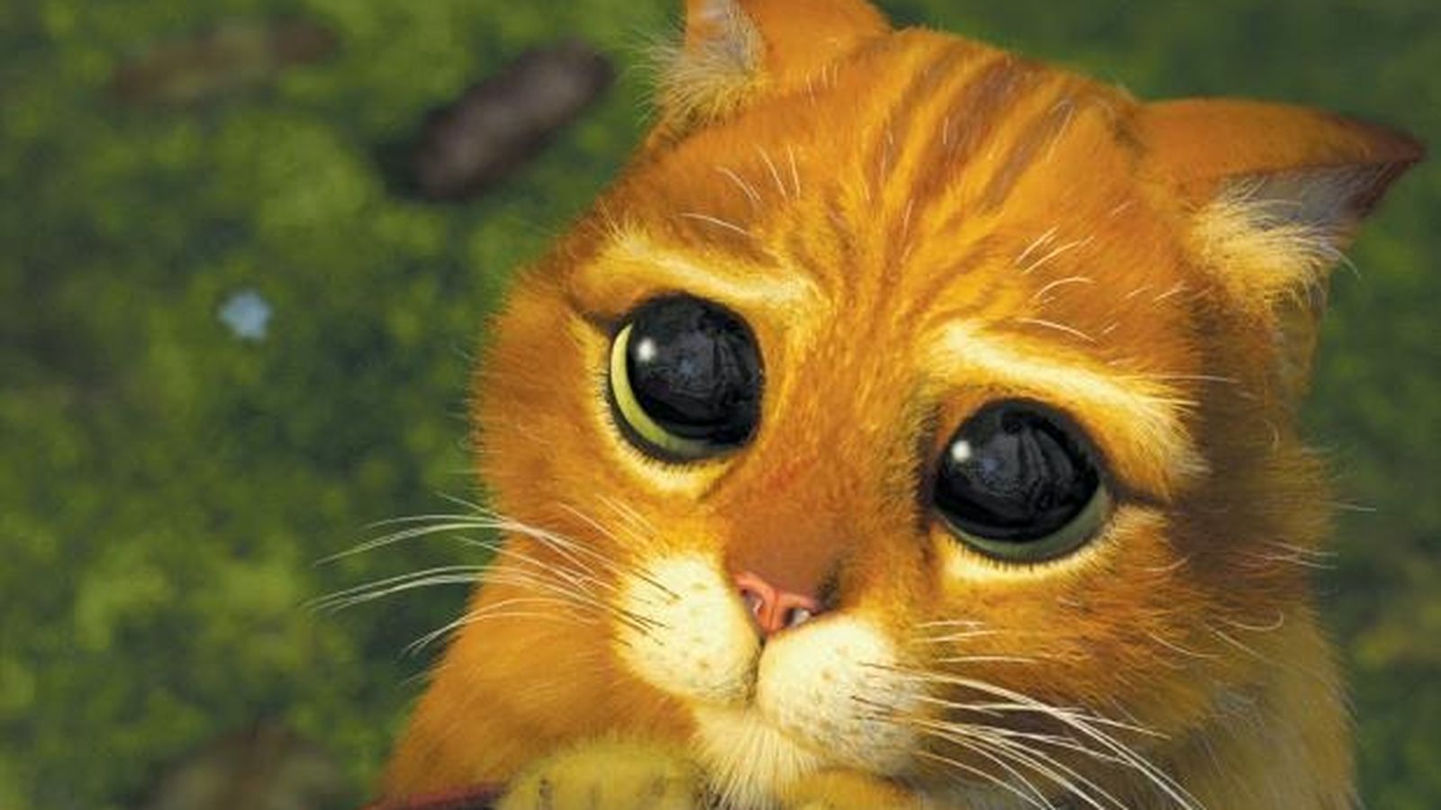 La herramienta que todo Junior debe tener La herramienta que todo Junior debe tener