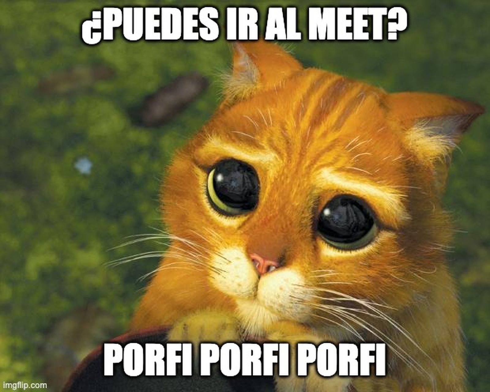 La herramienta que todo Junior debe tener La herramienta que todo Junior debe tener