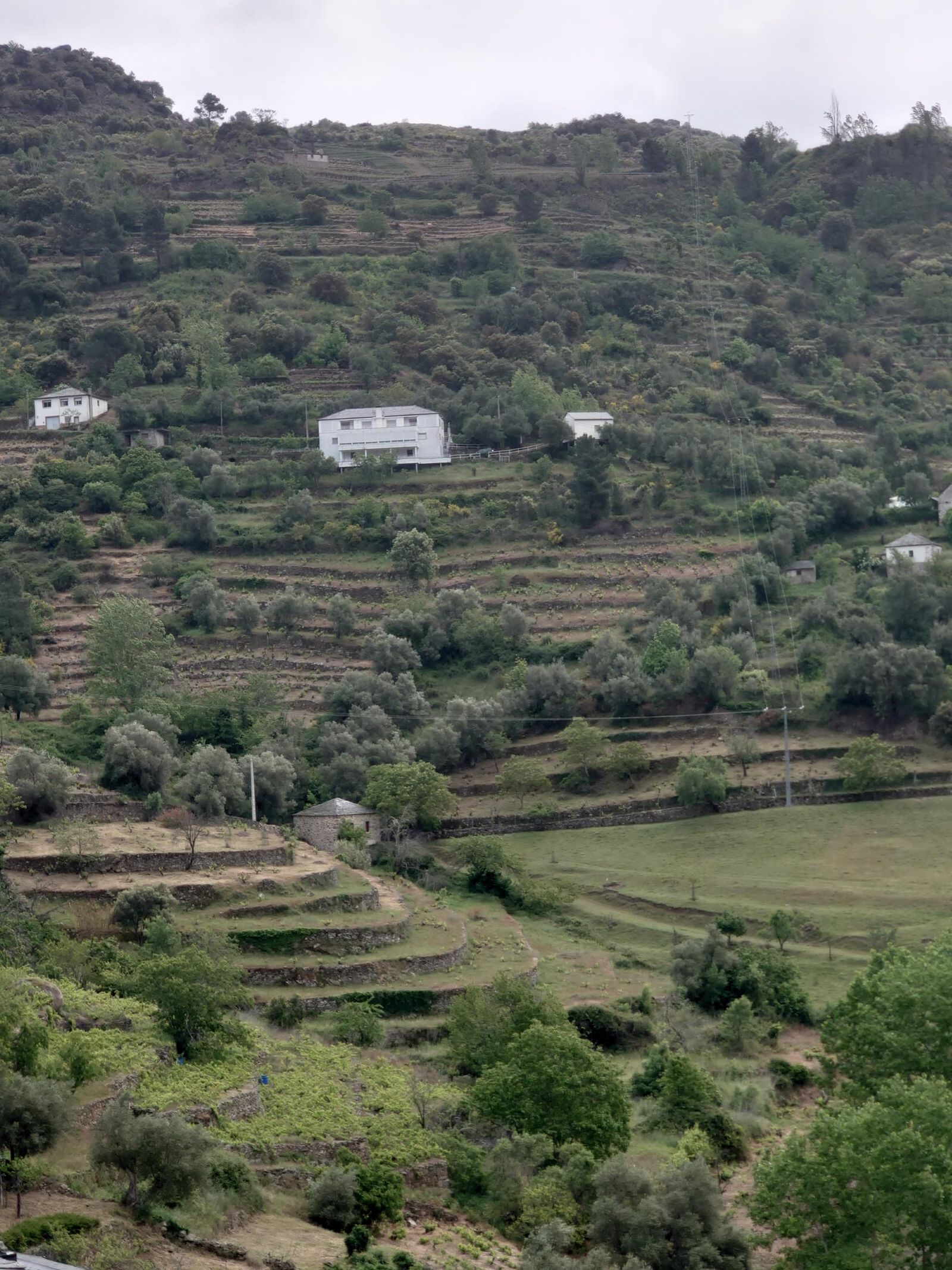 Galería test móvil Galería test móvil