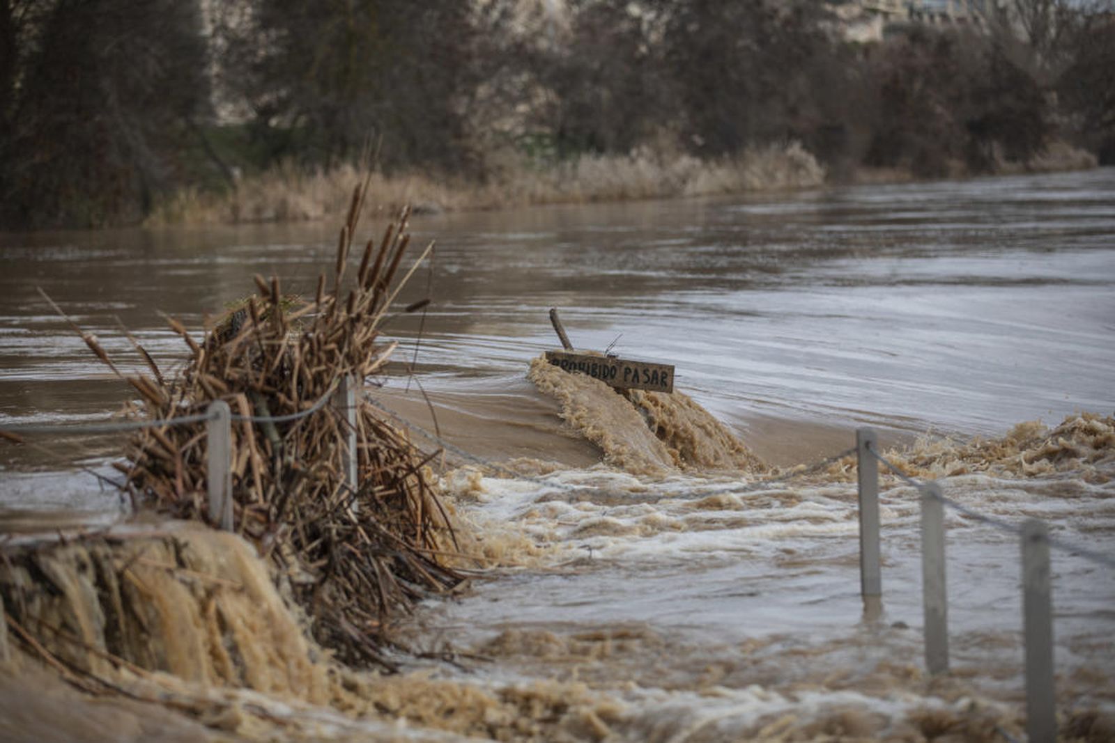 Crecida del río Duero a su paso por Zamora Crecida del río Duero a su paso por Zamora
