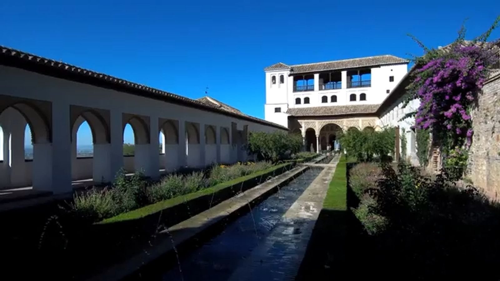 video test afranco