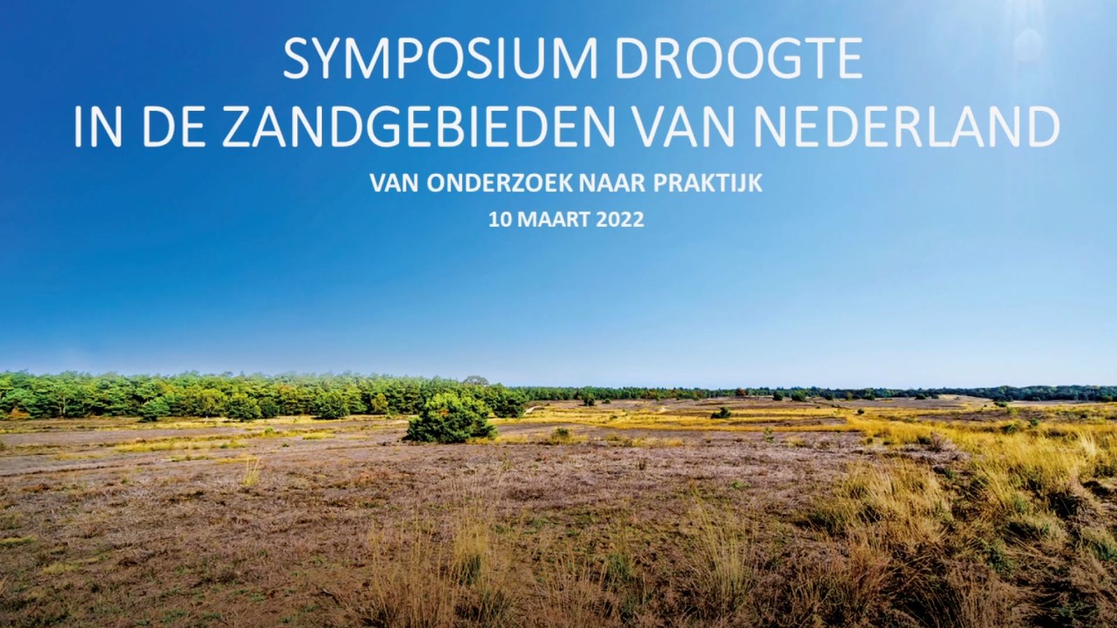 poster video embed vimeo live poster video embed vimeo live