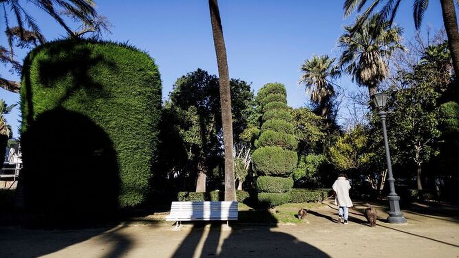Comencen les obres de reforma a l'interior del Parc Genovés de Cadis Interior del Parque Genovés en Cádiz