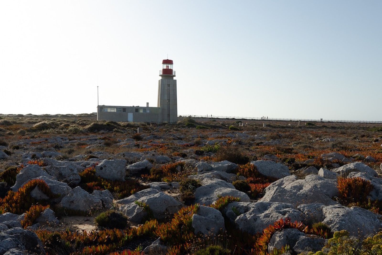 Galería móvil más de 100