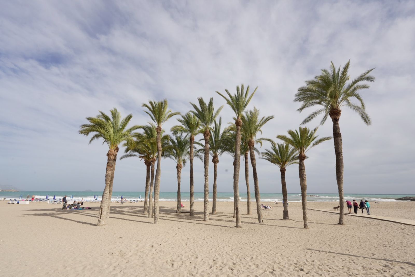 Galería móvil más de 100