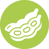 Soy.png Soy.png