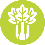 Celery.png Celery.png